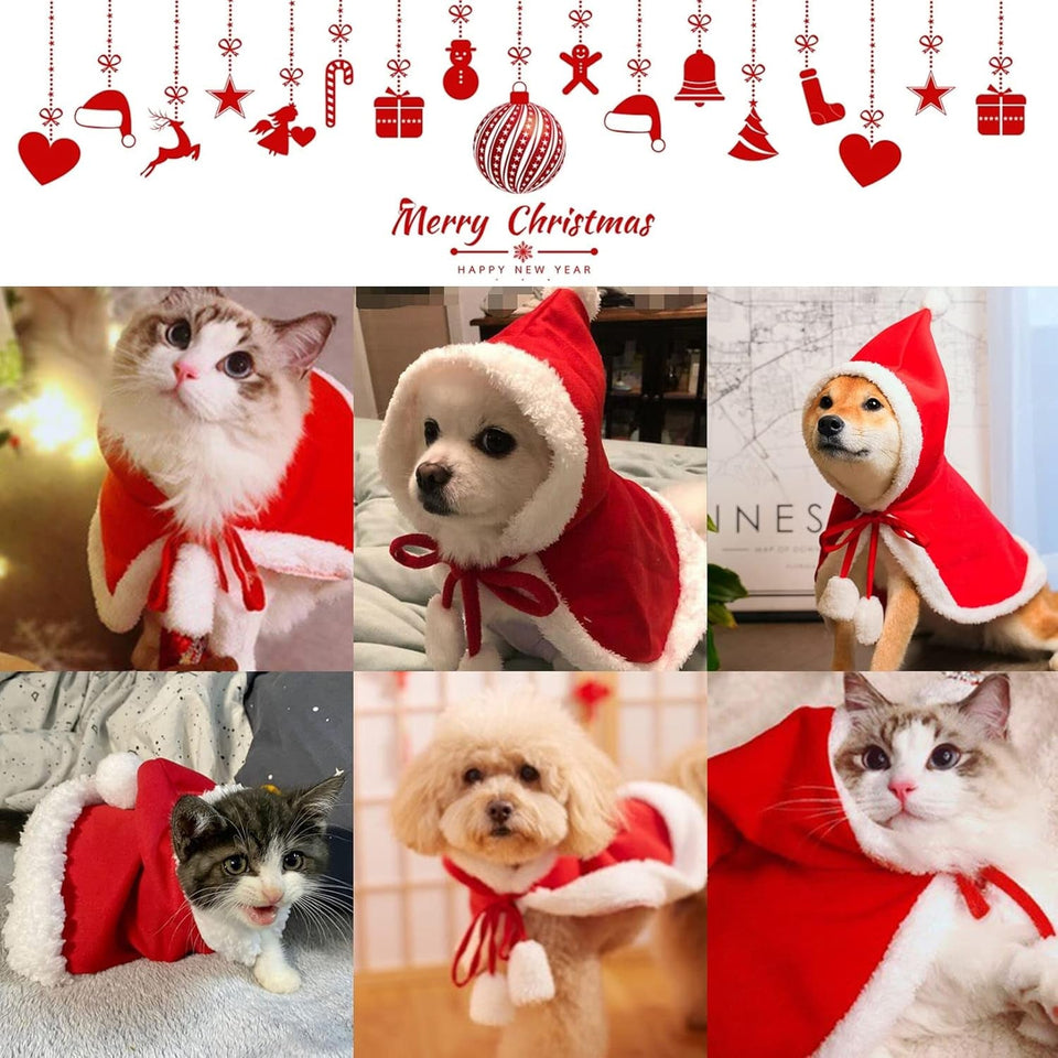 🐾 Pet Winners & Holiday Items