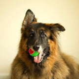 Merry Christmas Dog Tennis Balls (Regular)