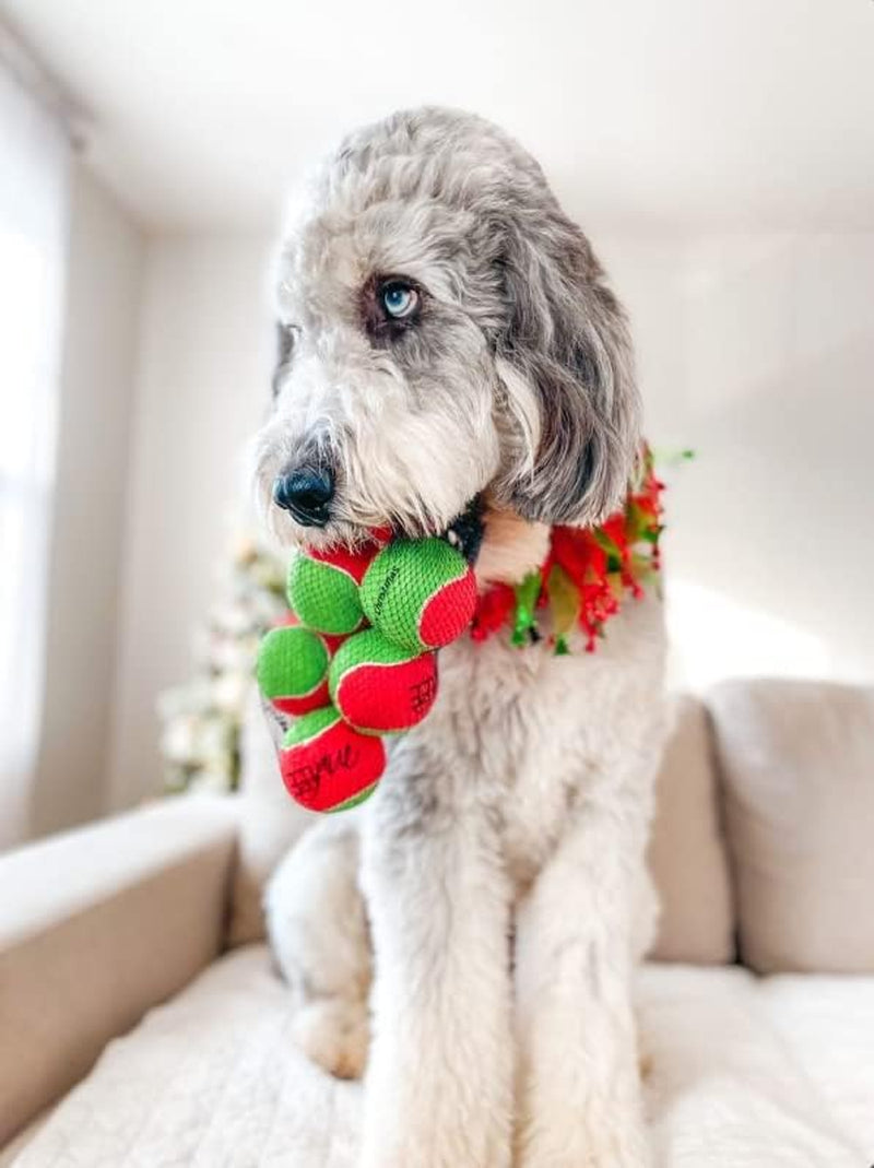 Merry Christmas Dog Tennis Balls (Regular)