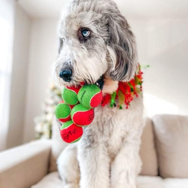 Merry Christmas Dog Tennis Balls (Regular)