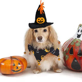 Cat Halloween Costume Halloween Cat Collar with Bells and Halloweens Pumpkin Hat Cats Costume Suit for Cats and Small Dogs